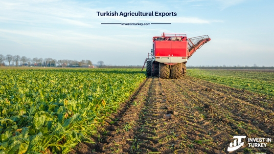 Turkish agricultural exports to Saudi Arabia and Land Investment